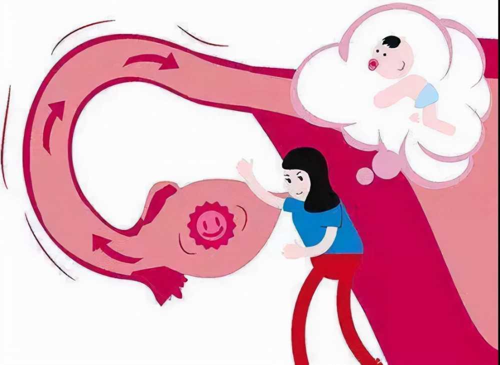 上海长征医院三代试管婴儿囊胚培养多少钱一次？