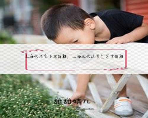 上海代怀生小孩价格，上海三代试管包男孩价格